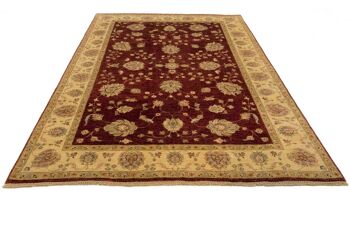 Tapis Afghan Chobi Ziegler 300x201 noué main 200x300 rouge oriental poil court 4