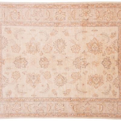 Afghan Chobi Ziegler 203x145 tappeto annodato a mano 150x200 beige, orientale, pelo corto