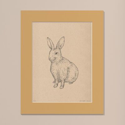 Print Rabbit with passe-partout | 24cm x 30cm | noce