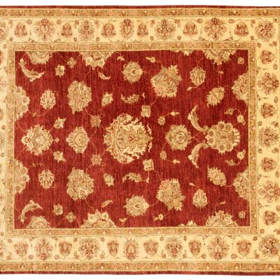 Afghan Chobi Ziegler 185x158 hand-knotted carpet 160x190 square beige