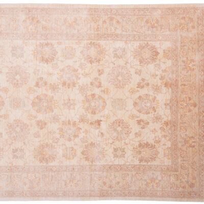 Afghan Chobi Ziegler 217x151 hand-knotted carpet 150x220 beige, oriental, short pile