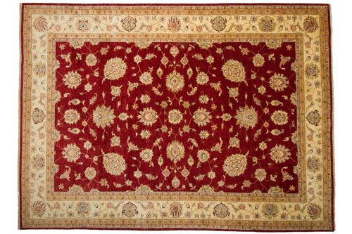 Buy wholesale Afghan Chobi 354x260 carpet red, Ziegler oriental, short hand-knotted pile 260x350