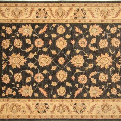 Tapis Afghan Chobi Ziegler 245x170 noué main 170x250 motif fleur beige poil court