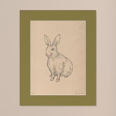 Stampa Coniglio con passe-partout | 24 cm x 30 cm | Olivo