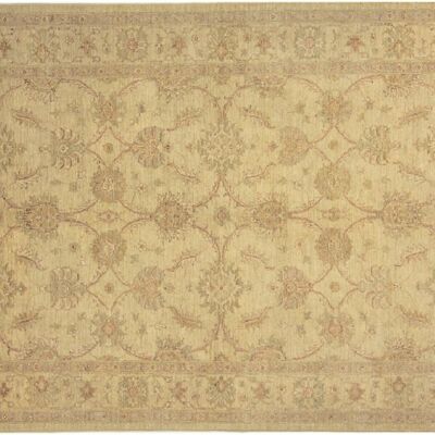 Afghan Chobi Ziegler 238x172 hand-knotted carpet 170x240 beige, oriental, short pile