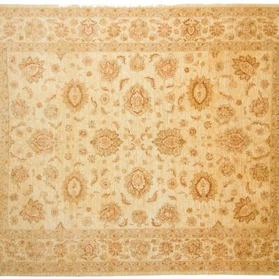 Afghan Chobi Ziegler 308x237 tappeto annodato a mano 240x310 beige, orientale, pelo corto