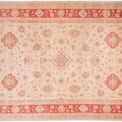 Afghan Feiner Chobi Ziegler 374x248 tappeto annodato a mano 250x370 motivo floreale rosso