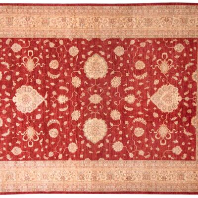 Afghan Feiner Chobi Ziegler 346x246 tappeto annodato a mano 250x350 rosso orientale