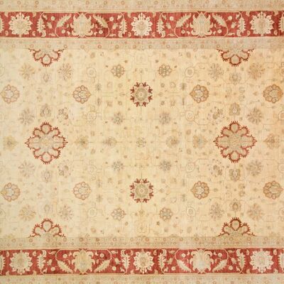 Afghan Chobi Ziegler 533x369 tappeto annodato a mano 370x530 beige motivo floreale pelo corto