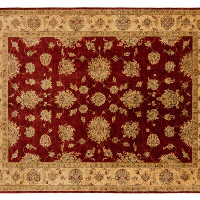 Tapis Afghan Chobi Ziegler 248x209 noué main 210x250 motif fleur rouge poil court