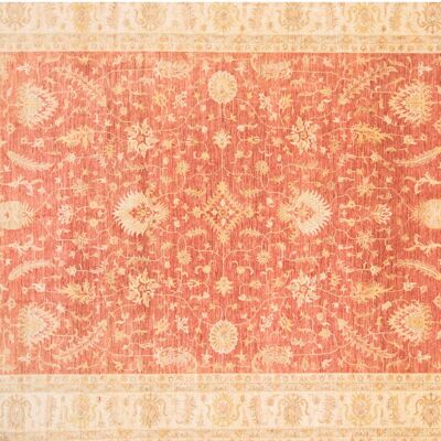 Afghan Chobi Ziegler 516x406 hand-knotted carpet 410x520 red, oriental, short pile