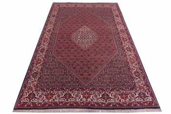 Tapis persan Bidjar Zandjan 315x210 noué main 210x320 rouge oriental, poils courts 2