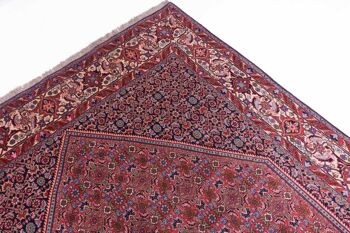 Tapis persan Bidjar Zandjan 315x210 noué main 210x320 rouge oriental, poils courts 5