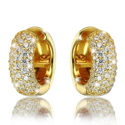 Hoop earrings - gold