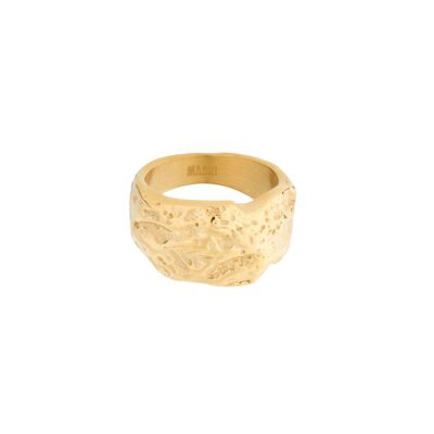 Liz anello d'oro