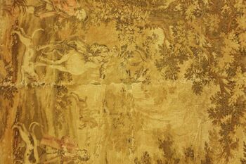 France Gobelin tapisserie 182x138 Tapis tissé main 140x180 motifs beiges 5