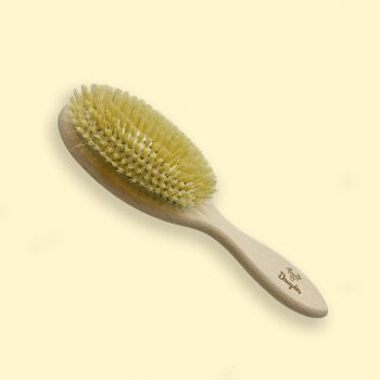 Brosse démêlante