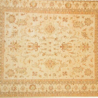 Afghan Chobi Ziegler 301x248 hand-knotted carpet 250x300 beige, oriental, short pile
