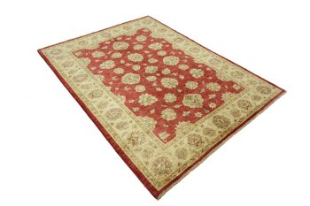 Afghan Chobi Ziegler 226x173 Tapis noué main 170x230 Rouge Floral Pile Courte Orient 4