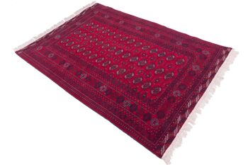 Tapis Afghan Mauri 174x124 noué main 120x170 motif géométrique rouge poils bas 4