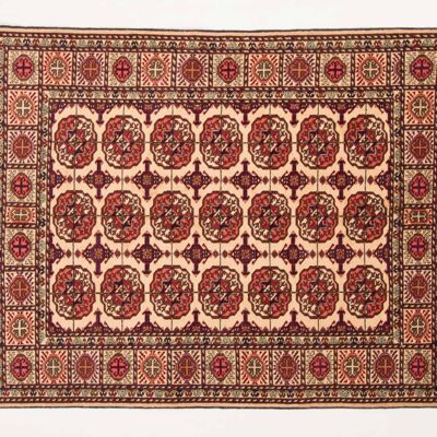 Afghan Mauri Kabul 158x112 alfombra anudada a mano 110x160 patrón geométrico rojo, pelo corto