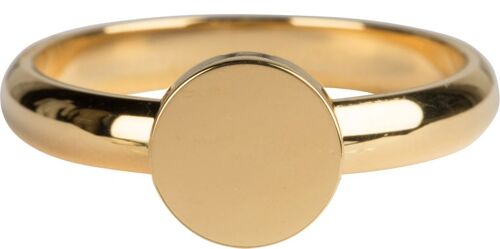 Fashion Seal Medium Gold Steel