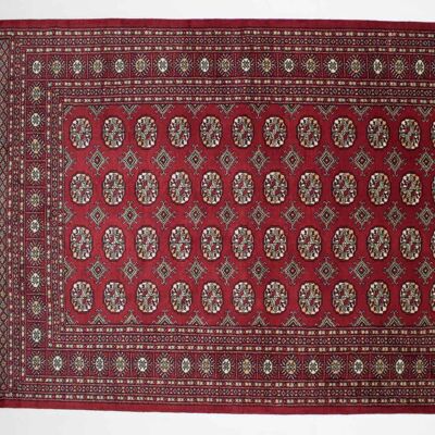 Pakistan Buchara 240x158 Handgeknüpft Teppich 160x240 Rot Orientalisch Kurzflor Orient