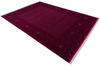 Tapis oriental afghan 288x190 tapis noué main 190x290 rouge oriental, poils courts 3