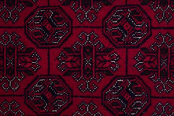 Tapis oriental afghan 288x190 tapis noué main 190x290 rouge oriental, poils courts 4