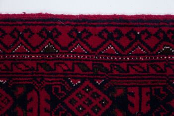 Tapis oriental afghan 288x190 tapis noué main 190x290 rouge oriental, poils courts 5