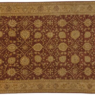 Afghan Chobi Ziegler 381x275 alfombra anudada a mano 280x380 marrón, oriental, pelo corto