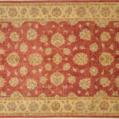 Afghan Chobi Ziegler 249x176 tappeto annodato a mano 180x250 rosso, orientale, pelo corto
