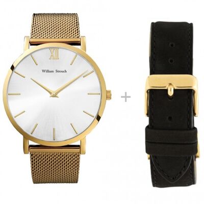Gold and silver watch + strap