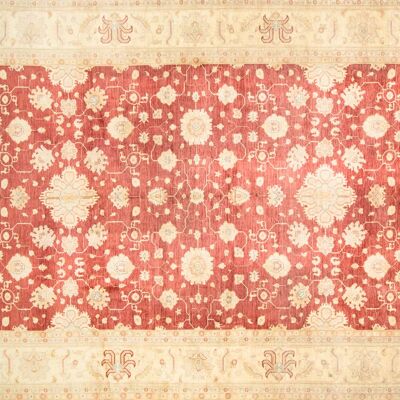 Afghan Chobi Ziegler 525x376 tappeto annodato a mano 380x530 rosso, orientale, pelo corto