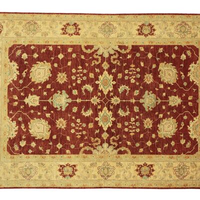 Afghan Chobi Ziegler 280x207 Alfombra anudada a mano 210x280 Red Floral Short Pile Orient