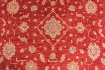 Tapis Afghan Feiner Chobi Ziegler 349x241 noué main 240x350 motif fleur beige 5