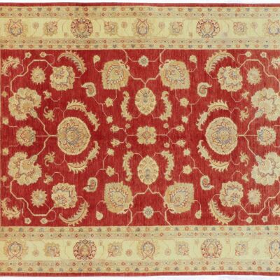 Afghan Chobi Ziegler 231x164 Handgeknüpft Teppich 160x230 Rot Orientalisch Kurzflor