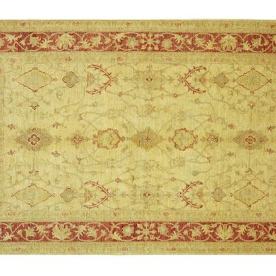 Afghan Chobi Ziegler 243x169 Hand-knotted Carpet 170x240 Beige Floral Short Pile Orient