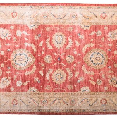 Afghan Feiner Chobi Ziegler 186x121 tappeto annodato a mano 120x190 motivo floreale rosso
