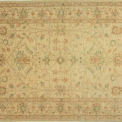 Afghan Chobi Ziegler 245x169 tappeto annodato a mano 170x250 beige, orientale, pelo corto