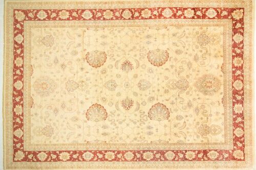 Afghan Chobi Ziegler 528x368 Handgeknüpft Teppich 370x530 Beige Blumenmuster Kurzflor