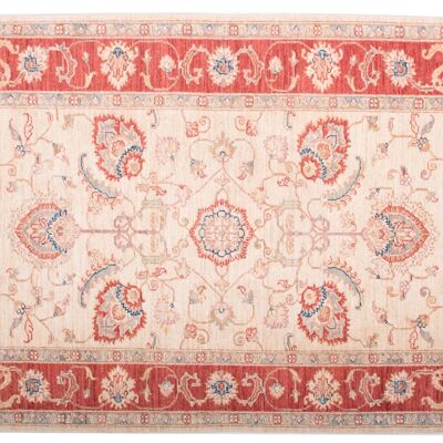 Afgano fine Chobi Ziegler 146x103 tappeto annodato a mano 100x150 motivo floreale rosso