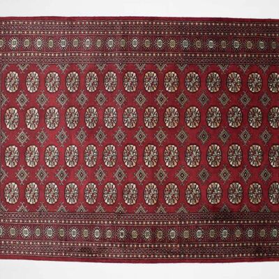 Pakistan Bukhara 246x157 tappeto annodato a mano 160x250 disegno geometrico rosso, pelo corto