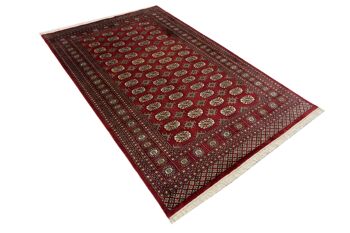 Pakistan Boukhara 246x157 tapis noué main 160x250 motif géométrique rouge, poils ras 3