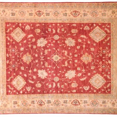 Afghan Feiner Chobi Ziegler 256x193 alfombra anudada a mano 190x260 estampado de flores rojas