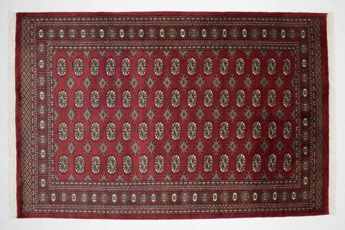 Pakistan Buchara 240x157 Handgeknüpft Teppich 160x240 Rot Orientalisch Kurzflor Orient
