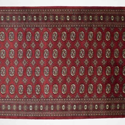 Pakistan Bukhara 240x157 tappeto annodato a mano 160x240 rosso orientale, pelo corto, orient