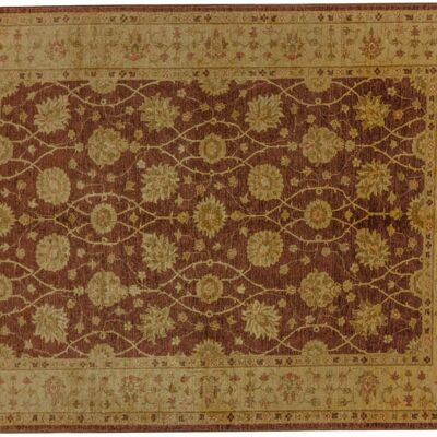 Afghan Chobi Ziegler 280x215 hand-knotted carpet 220x280 brown, oriental, short pile