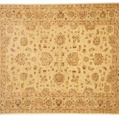 Afghan Chobi Ziegler 248x176 hand-knotted carpet 180x250 red flower pattern short pile