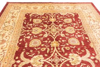 Tapis Afghan Chobi Ziegler 448x328 noué main 330x450 motif fleur rouge, poils courts 4